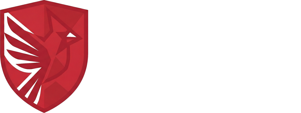 Brand logo: red shield with angular wing motif beside the white word 'Bordinal' on a black background.